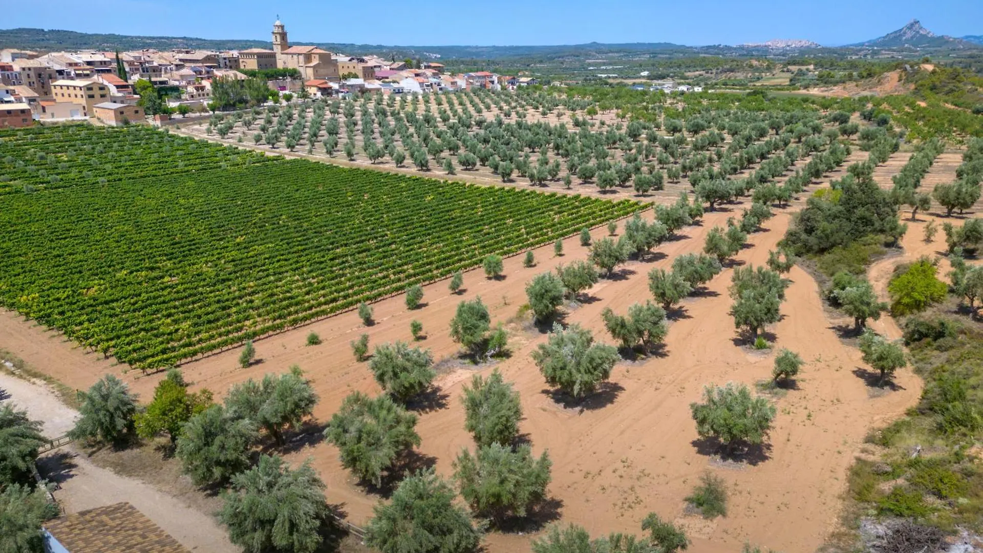 Hotel Vilar Rural D'Arnes By Serhs Hotels Sant Carles De La Rapita Spain