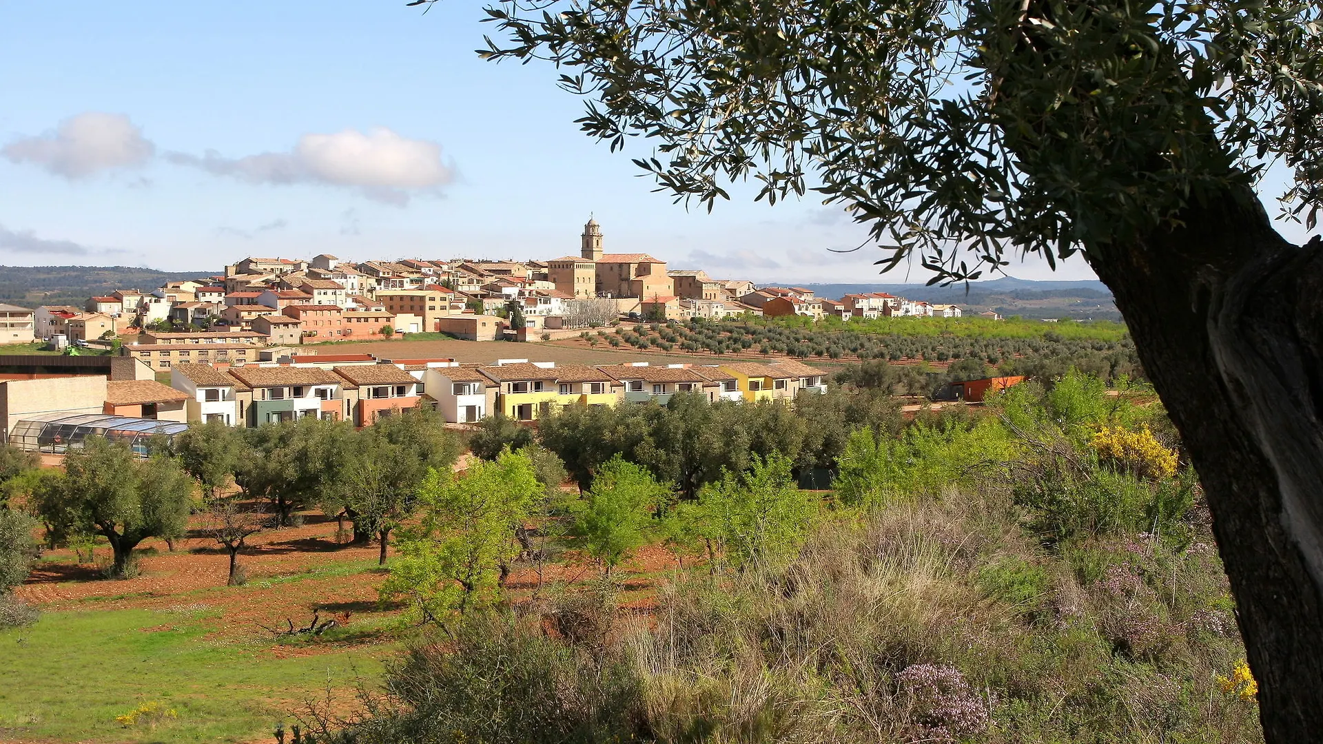 Hotel Vilar Rural D'Arnes By Serhs Hotels Sant Carles De La Rapita