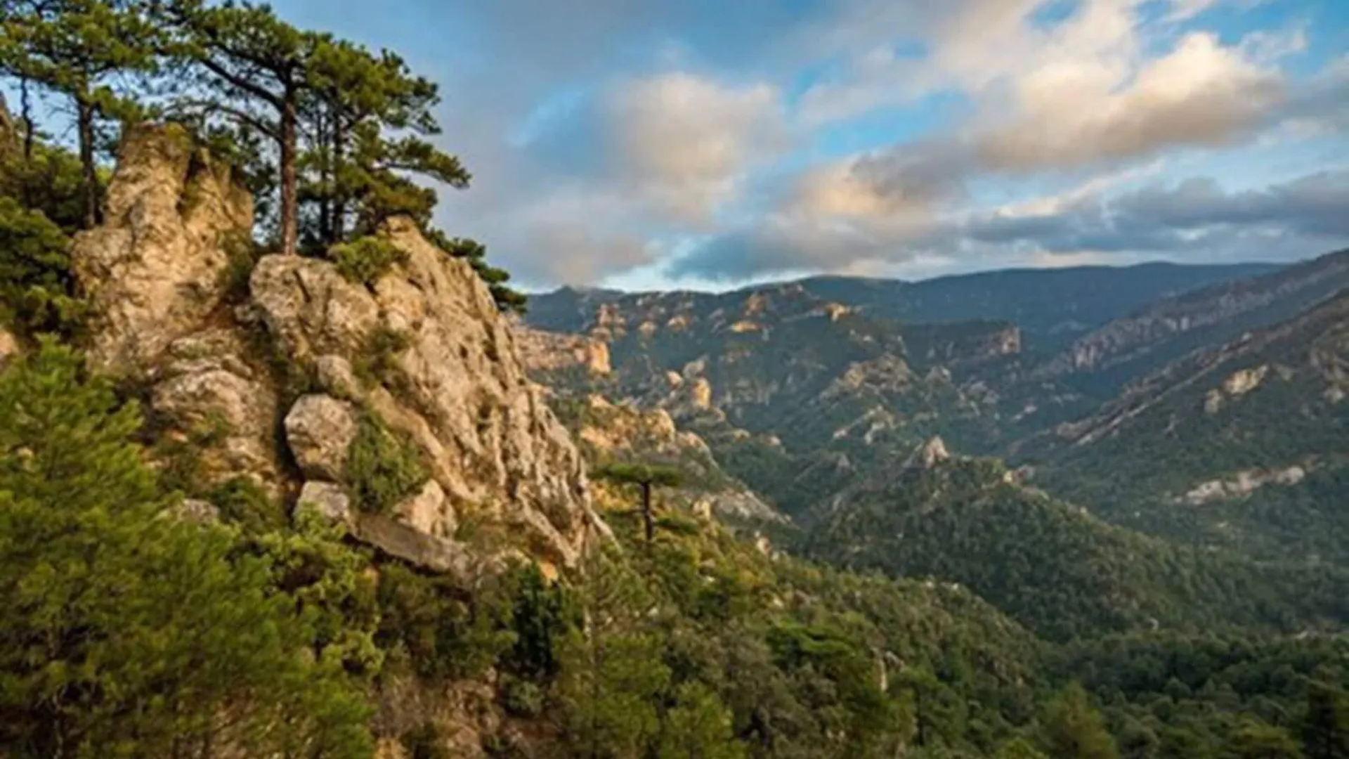 Hotel Vilar Rural D'Arnes By Serhs Hotels Sant Carles De La Rapita
